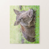 Puzzle merveilleux de Warthog (Vertical)