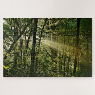 Puzzle Merveilleux Sunbeams dans la forêt matinale