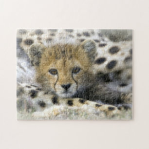 Puzzle met Gift Box/Cheetah Cub Legpuzzel