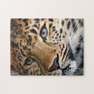 Puzzle met Gift Box/Cheetah Legpuzzel