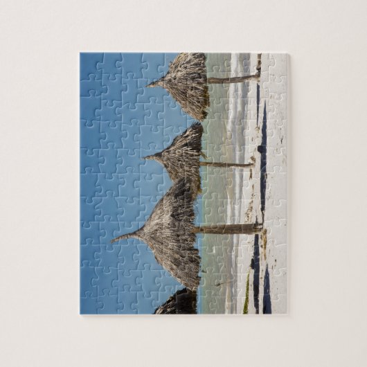 Puzzle Mexique, péninsule du Yucatan, Progreso. Thatch (Vertical)