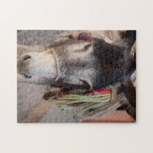 Puzzle Mexique, San Miguel De Allende 2 (Horizontal)