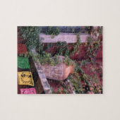 Puzzle Mexique, San Miguel de Allende, lierre, pot en arg (Horizontal)