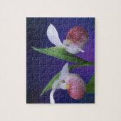 Puzzle Michigan, Bruce Peninsula National Park.Foutaises (Vertical)