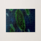 Puzzle Microbes de bactéries (Horizontal)