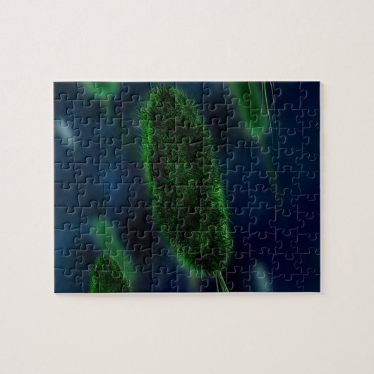 Puzzle Microbes de bactéries (Horizontal)