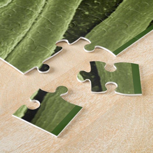 Puzzle Microscopio e.coli (Côté)