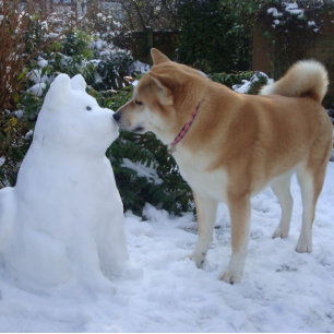 Puzzle mignon akita baiser bonhomme de neige akita chien