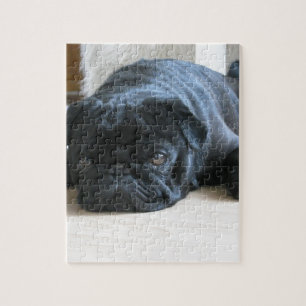 Puzzle Mignon Bouledogue Noir Endormi