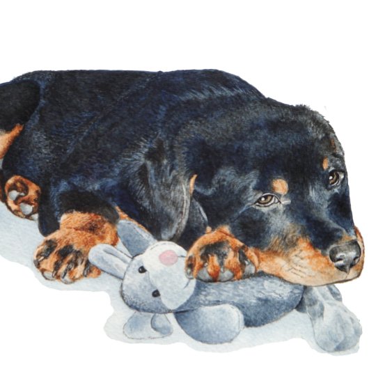 Puzzle mignon chiot rottweiler bouddin ourson en peluche