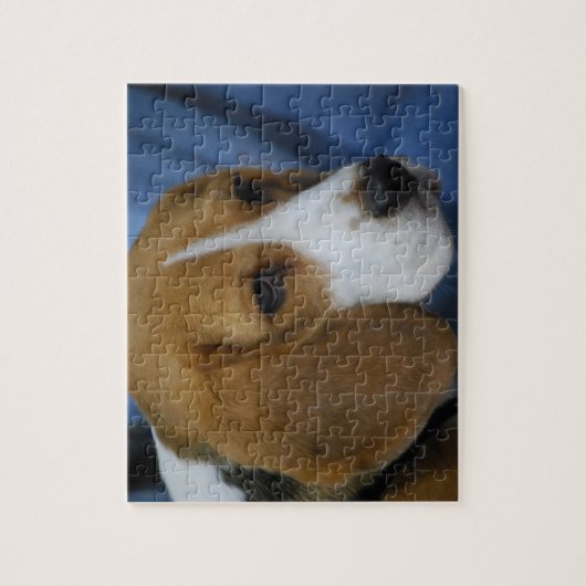 Puzzle mignon de beagle (Vertical)