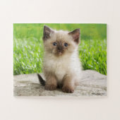Puzzle mignon de Kitty (Horizontal)