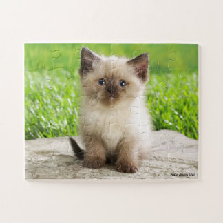 Puzzle mignon de Kitty