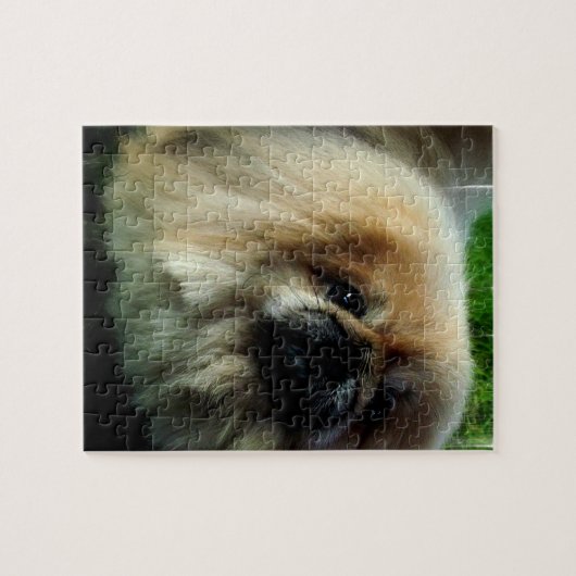 Puzzle mignon de Pekingese (Horizontal)