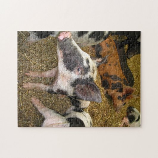 Puzzle mignon de porc (Horizontal)