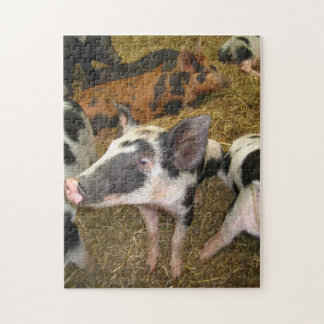 Puzzle mignon de porc