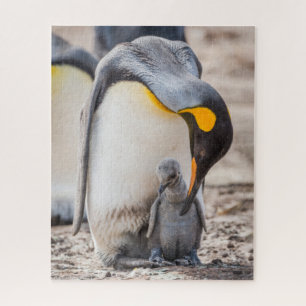 Puzzle Mignon manchot caressant son poussin
