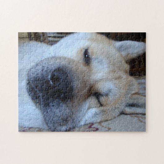 Puzzle mignonne akita endormie chiens originaux sommeil (Horizontal)
