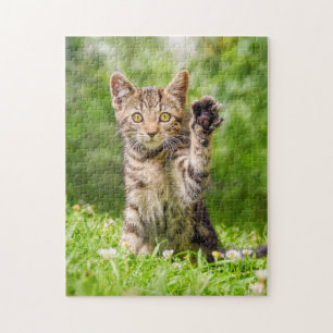 Puzzle Mignonne Maneki Neko Chat Kitten Drôle Pose De Bec