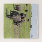 Puzzle Migration des éléphants (Horizontal)
