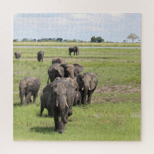 Puzzle Migration des éléphants