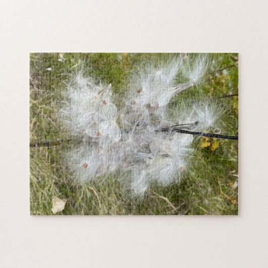 Puzzle Milkweed | Papillon | (Horizontal)