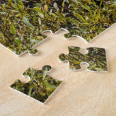 Puzzle Mill Creek dans Lundy Canyon, CA (Côté)