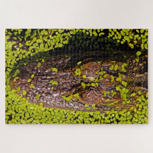Puzzle Mille morceaux plus d'alligator (Horizontal)