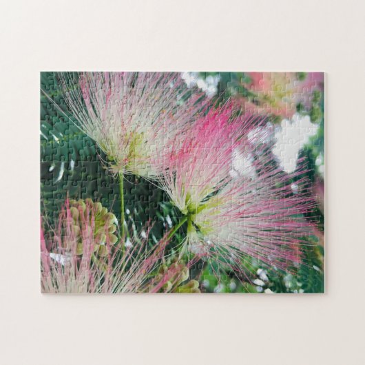 Puzzle Mimosa Tree Flower (Horizontal)