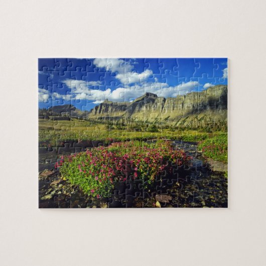 Puzzle Mimulus de Lewis et Clark à Logan Pass dans le par (Horizontal)