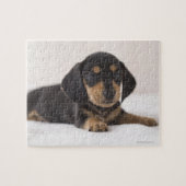 Puzzle Miniature Dachshund (Horizontal)