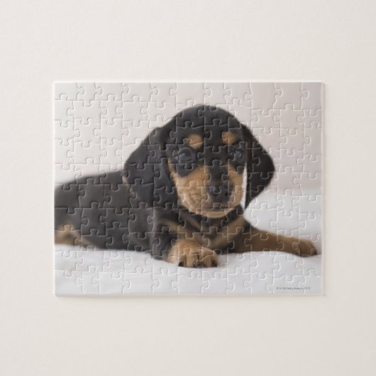 Puzzle Miniature Dachshund (Horizontal)