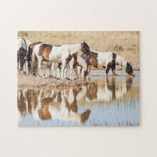 Puzzle Mirage de l'espoir