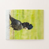 Puzzle Mischievous Black Cockatoo Portrait (Horizontal)