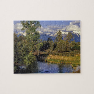 Puzzle Mission Creek traverse le National Bison