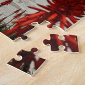 Puzzle Mission de San Diego (Côté)