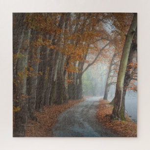 Puzzle Misty Fall Trees Country Road Travel Adventure