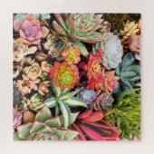 Puzzle MixPuzzle succulent rouge coloré (Horizontal)