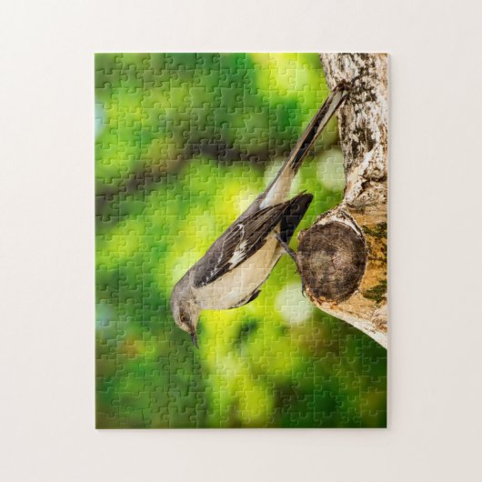 Puzzle Mocking Bird Florida. (Vertical)