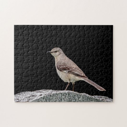 Puzzle Mockingbird sur une pierre tombale (Horizontal)