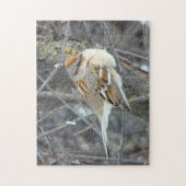 Puzzle Moineau domestique B24 (Vertical)