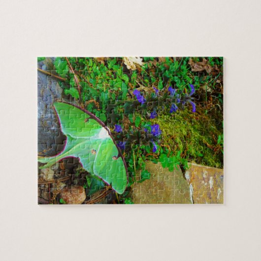 Puzzle Mois Luna Vert (Horizontal)