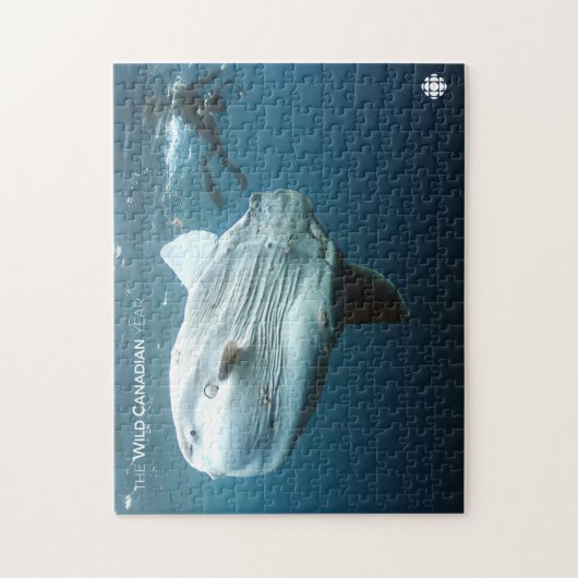 Puzzle Mola Mola (Vertical)