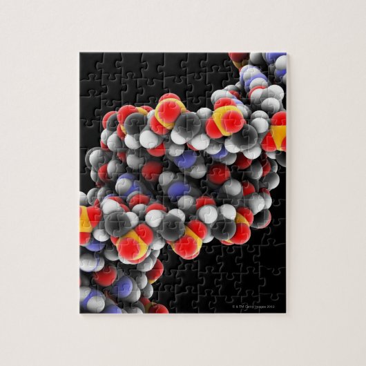Puzzle molécule d'ADN. Modèle moléculaire de l'ADN (Vertical)
