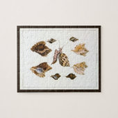 Puzzle Mollusques et escargots, organismes marins vintage (Horizontal)