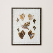 Puzzle Mollusques et escargots, organismes marins vintage (Vertical)