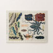 Puzzle Mollusques et planariens de la Grande Barrière vin (Horizontal)