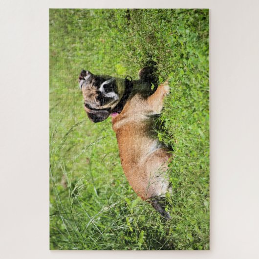 Puzzle Molly (Vertical)