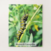 Puzzle Monarch Butterfly Caterpillar on Swan Plant 56 Pcs (Vertical)