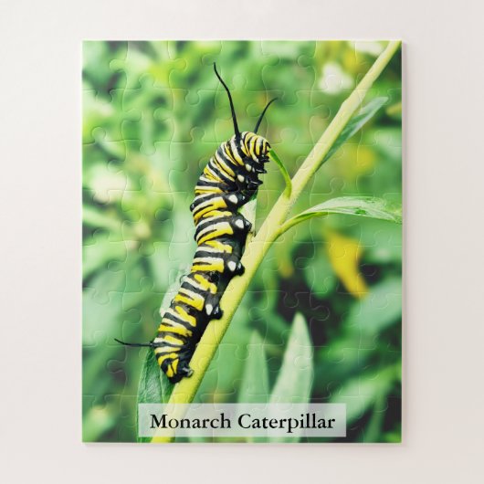 Puzzle Monarch Butterfly Caterpillar on Swan Plant 56 Pcs (Vertical)
